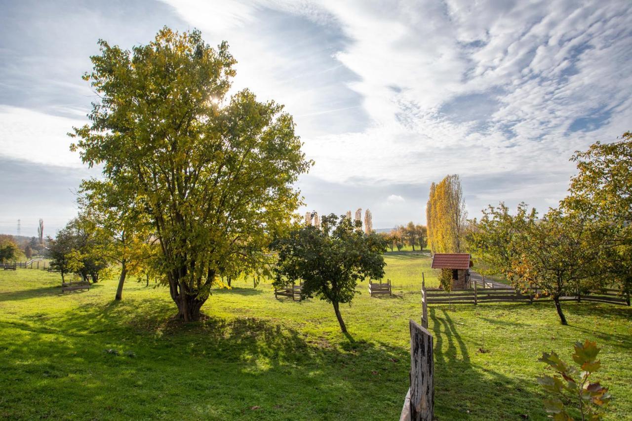 Kishosszuret Vendeghaz Hotel Pécsvárad Buitenkant foto