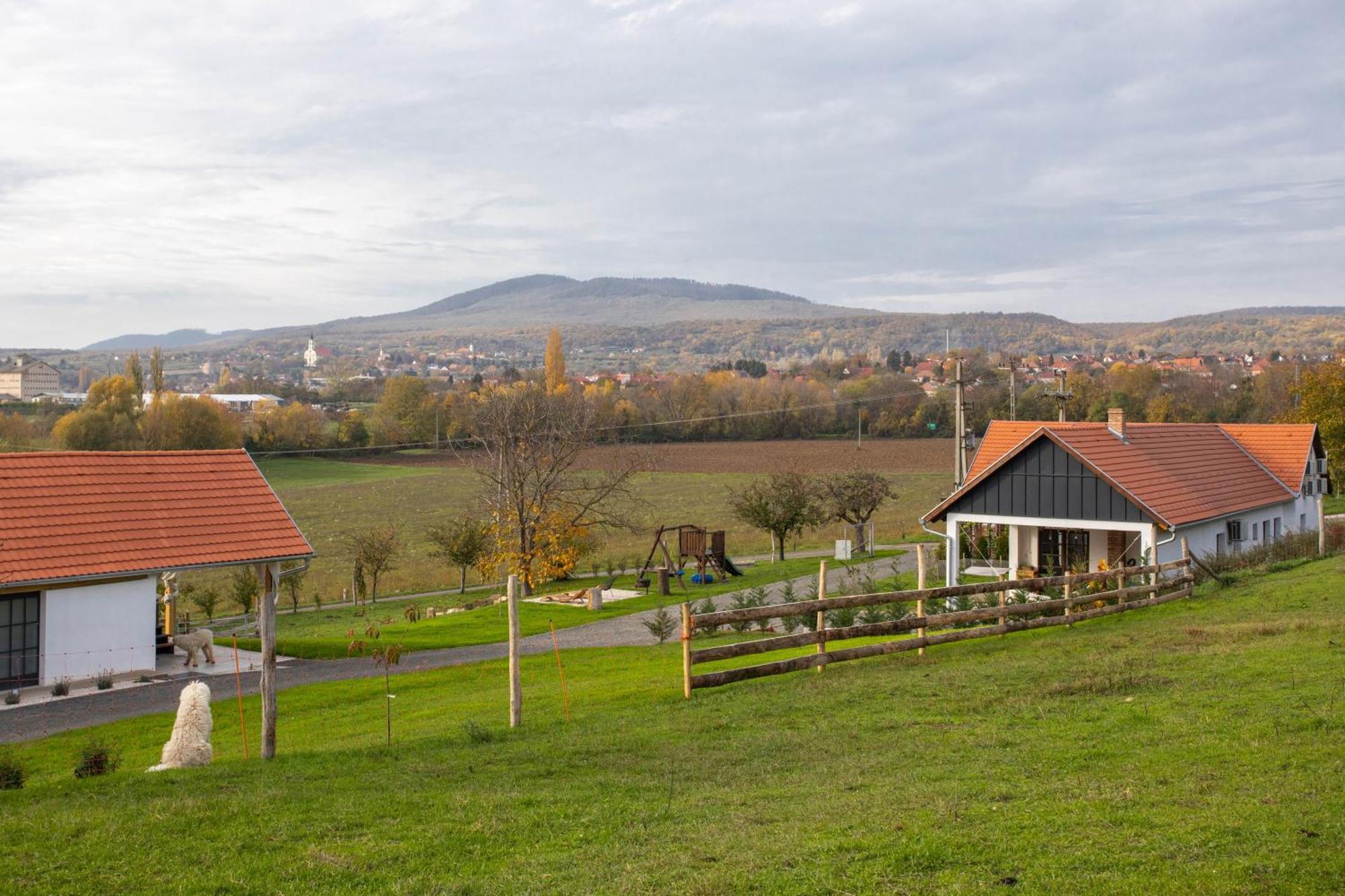 Kishosszuret Vendeghaz Hotel Pécsvárad Buitenkant foto